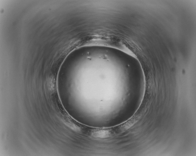 X0000067910081200604171349