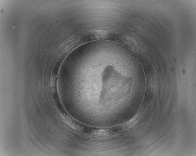 X0000067910082200604171349