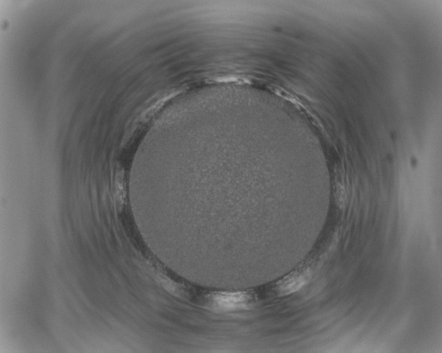 X0000067910085200604171349