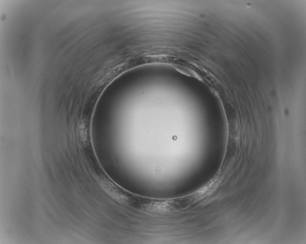 X0000067910086200604171349