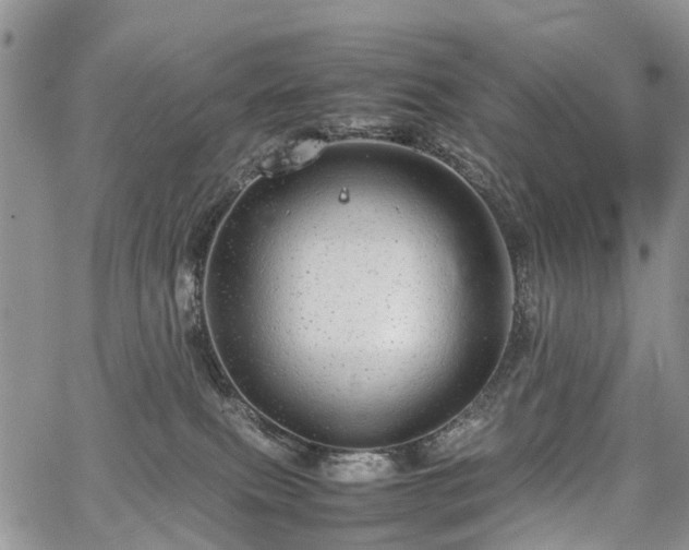 X0000067910087200604171349