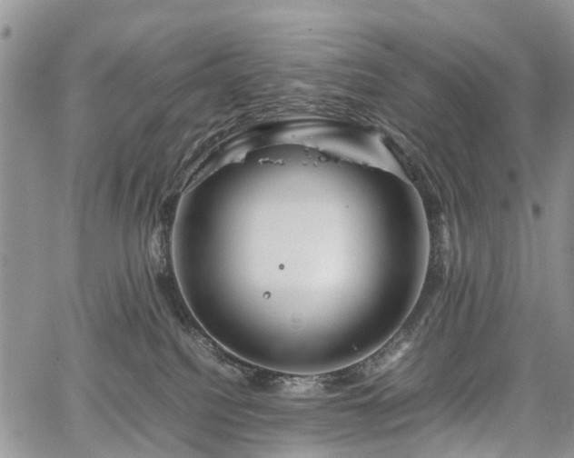 X0000067910088200604171349