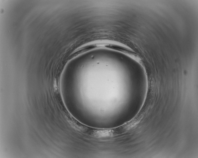 X0000067910089200604171349