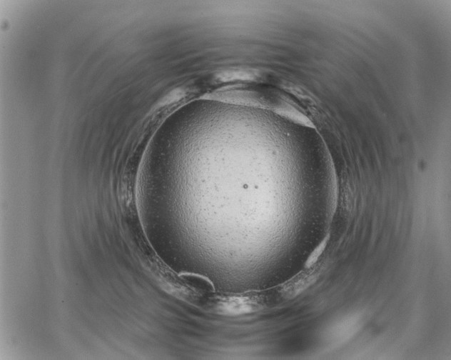 X0000067910091200604171349