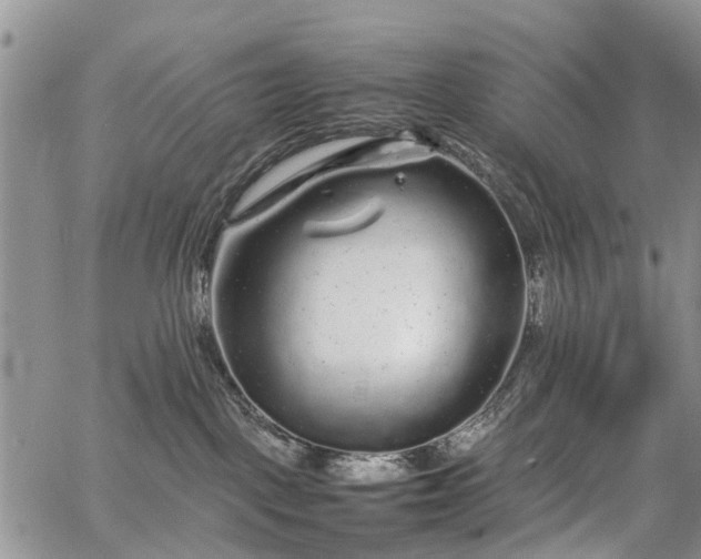 X0000067910093200604171349