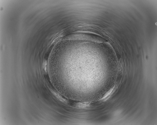 X0000067910094200604171349