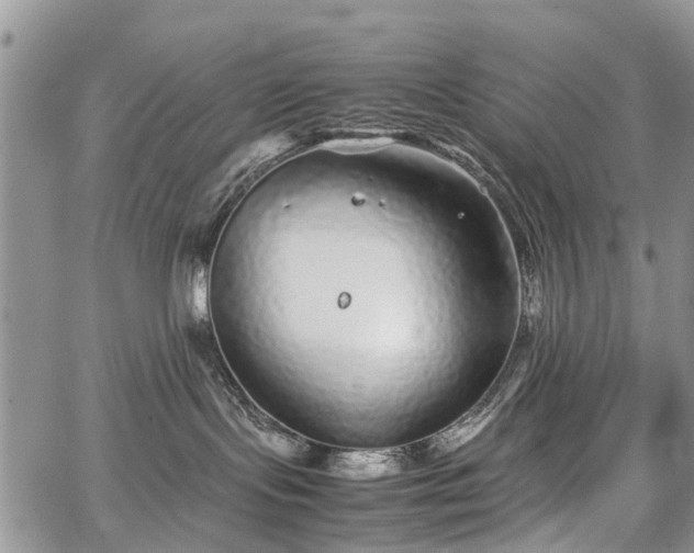 X0000067910095200604171349