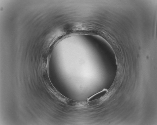 X0000067910096200604171349