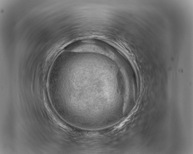 X0000067910097200604171349