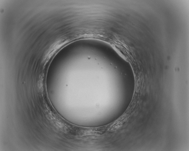 X0000067910098200604171349