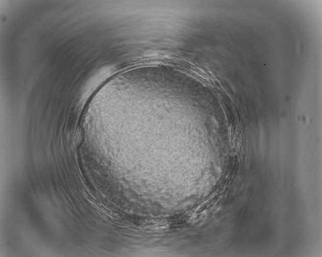 X0000067910099200604171349