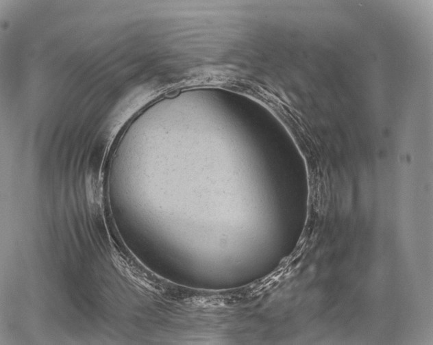 X0000067910100200604171349