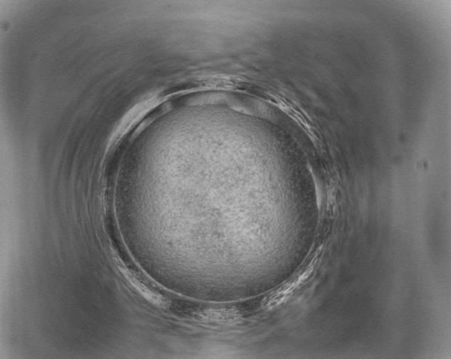 X0000067910101200604171349