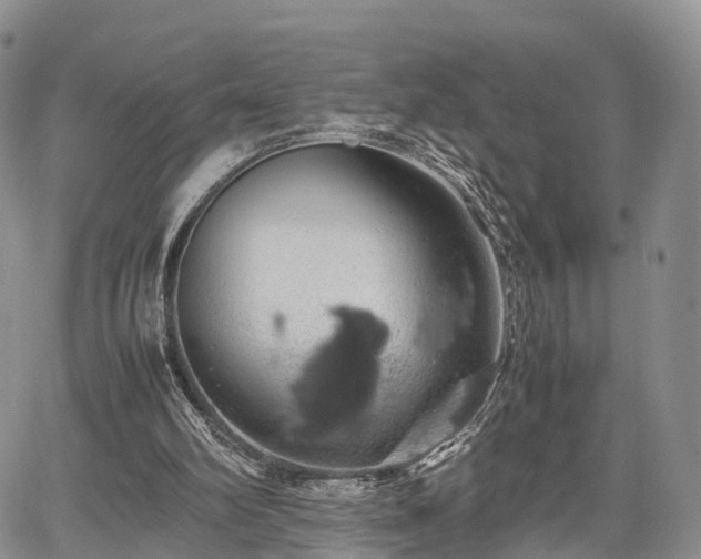 X0000067910102200604171349