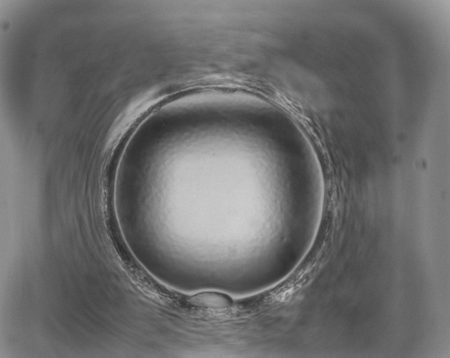 X0000067910103200604171348