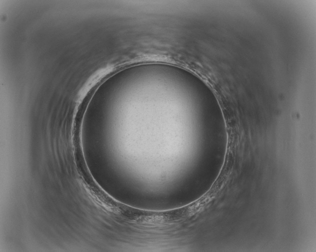 X0000067910104200604171348