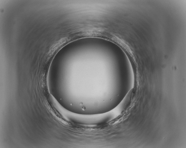 X0000067910105200604171348