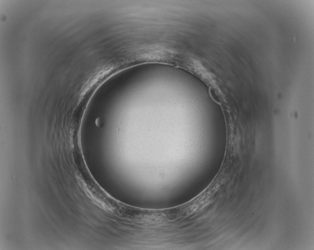 X0000067910106200604171348