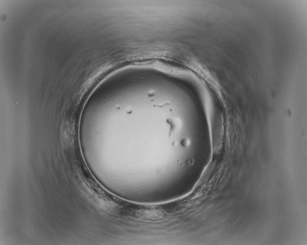 X0000067910107200604171348