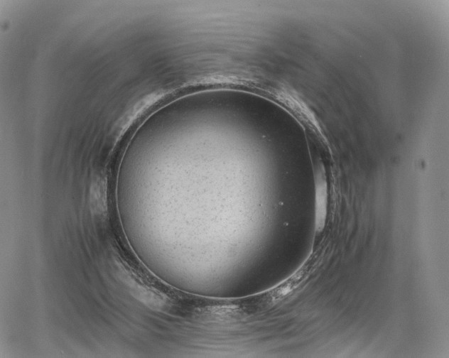 X0000067910108200604171348