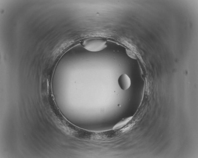 X0000067910109200604171348