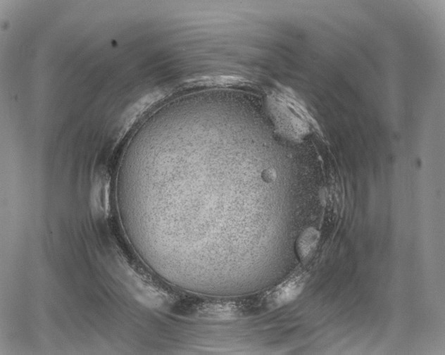 X0000067910110200604171348