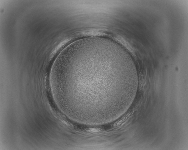 X0000067910111200604171348