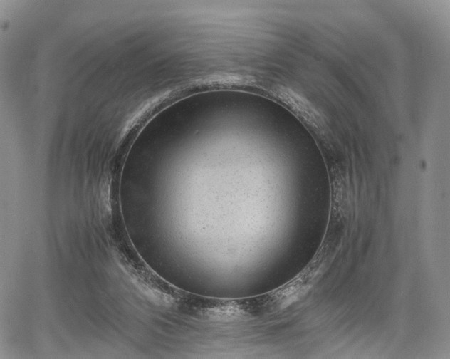 X0000067910112200604171348