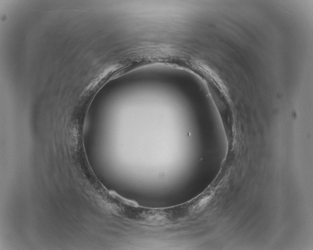 X0000067910113200604171348