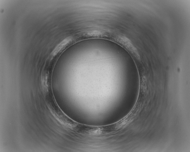 X0000067910116200604171348