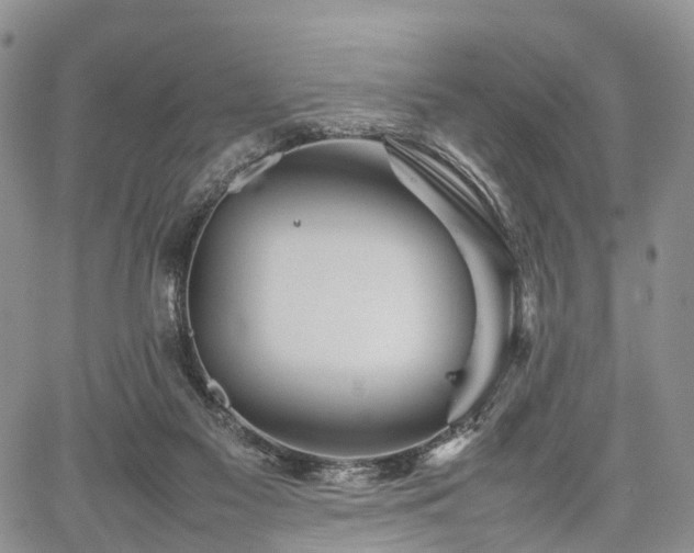 X0000067910117200604171348