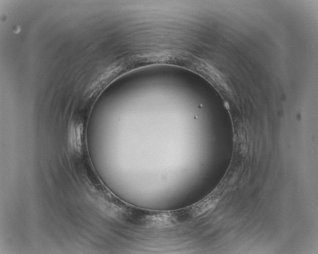 X0000067910118200604171348