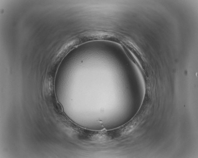 X0000067910119200604171348