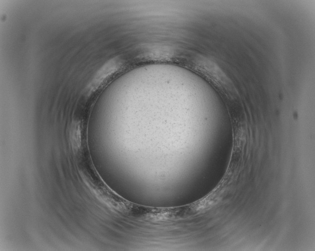 X0000067910120200604171348