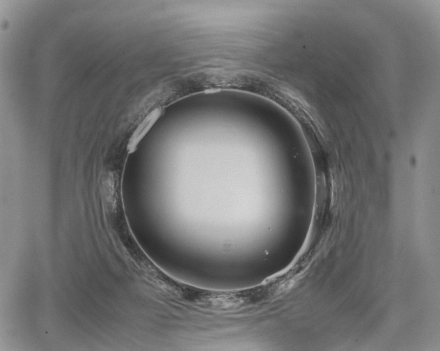 X0000067910121200604171348