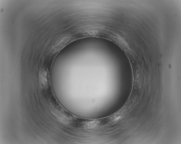 X0000067910122200604171348