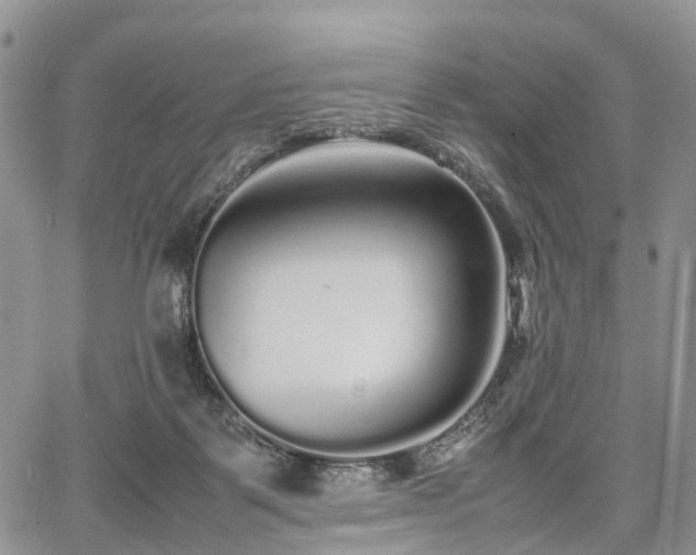 X0000067910123200604171348