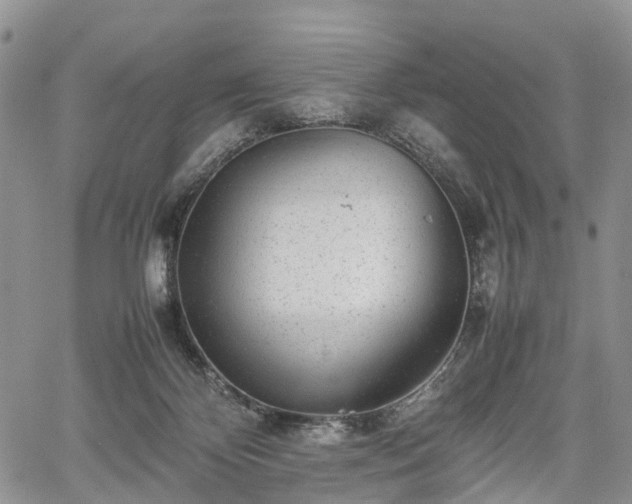 X0000067910124200604171348