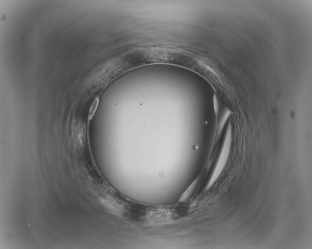 X0000067910125200604171348