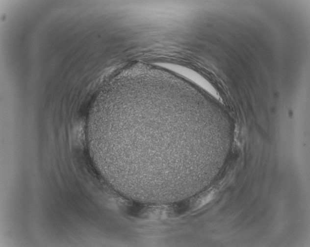 X0000067910127200604171348