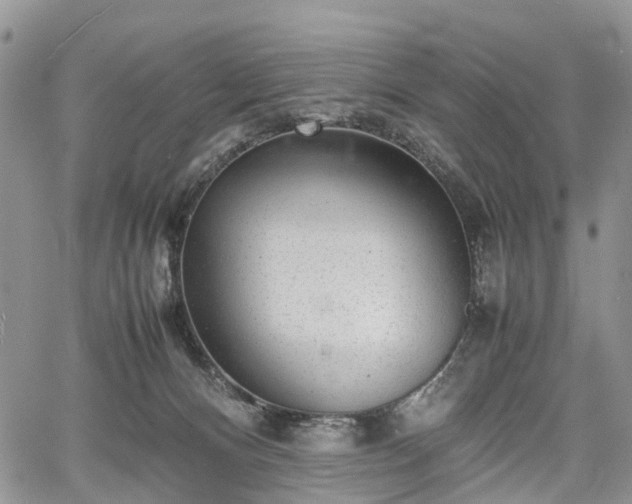 X0000067910128200604171348