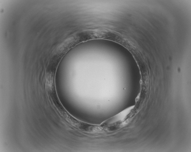 X0000067910129200604171348