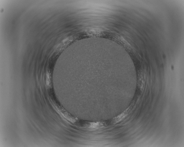 X0000067910130200604171348