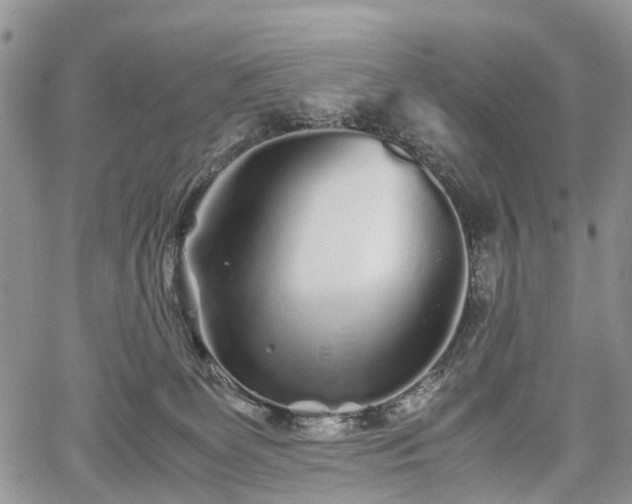 X0000067910131200604171348