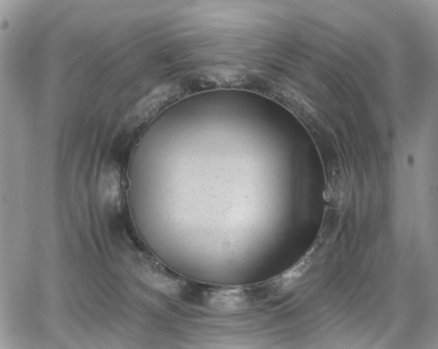 X0000067910132200604171348