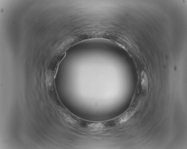 X0000067910133200604171348