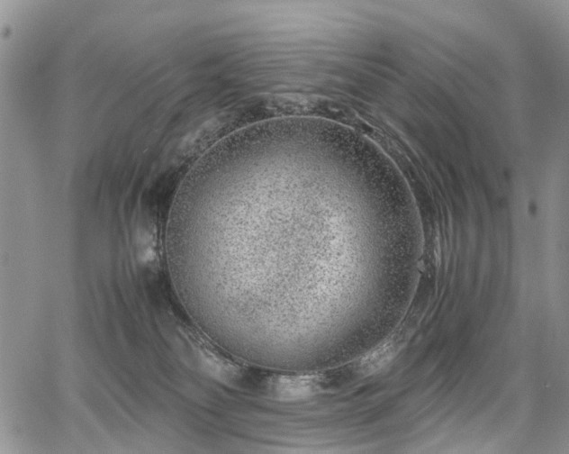 X0000067910134200604171348