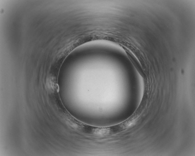 X0000067910135200604171348