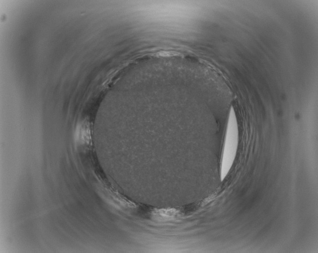 X0000067910137200604171348