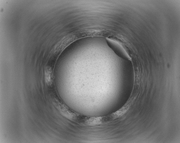 X0000067910138200604171348